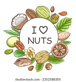 Background with various nuts. Round banner with almond, walnut, hazelnut and coconut. Hand drawn illustration