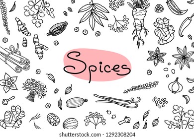 Background with various spices used in cooking and inscription for the design of menus, recipes and packaging products. Vector illustration.