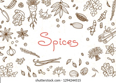 Background with various spices used in cooking and inscription for the design of menus, recipes and packaging products. Vector illustration.