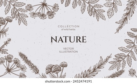 Background various wild herbs with a grunge background, space for text. Hand drawn in pencil style, featuring wild weeds. Vintage vibe banner. Not AI.