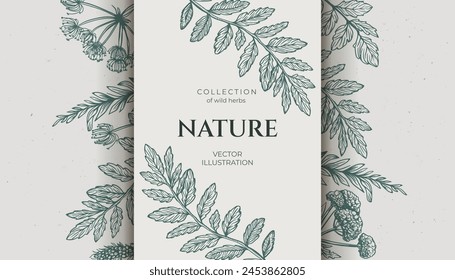 Background various wild herbs with a grunge background, space for text. Hand drawn in pencil style, featuring wild weeds. Vintage vibe banner. Not AI.