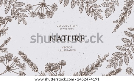 Background various wild herbs with a grunge background, space for text. Hand drawn in pencil style, featuring wild weeds. Vintage vibe banner. Not AI.