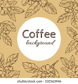 background vector branch with leaves and berries coffee, hand-drawn