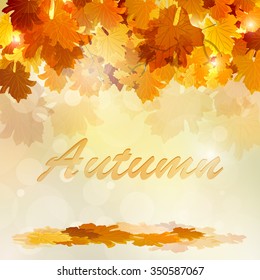 Background Vector Colorful autumn leaves.