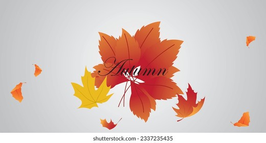 Background vector design with autumn theme