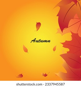 Background vector design with autumn theme