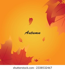Background vector design with autumn theme