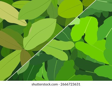 Background vector design with two different types of plants.