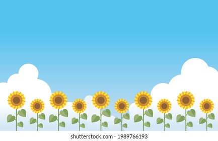 Background vector graphics summer blue sky and sunflower field