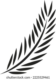 Background Vector Illustration
Coconut leaves