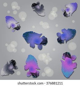 Background vector illustration - goldfish.