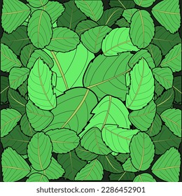 background with vector pattern of green leaves in one rectangular frame