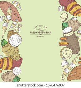 Background with vegetables: batat, taro root, yams, chinese artichoke. Vector hand drawn illustration.