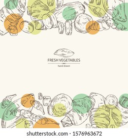 Background with vegetables: batat, taro root, yams, chinese artichoke. Vector hand drawn illustration.