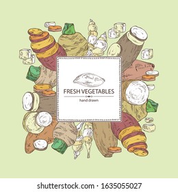 Background with vegetables: batat, taro root, yams, chinese artichoke. Vector hand drawn illustration.