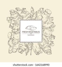 Background with vegetables: batat, taro root, yams, chinese artichoke. Vector hand drawn illustration.