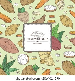 Antecedentes con verduras: batat, raíz de taro, raíz de yuca y alcachofa de Jerusalén. Ilustración dibujada a mano por vectores.