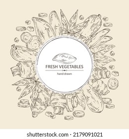 Background with vegetables: batat, taro root, cassava root and Jerusalem artichoke. Vector hand drawn illustration.