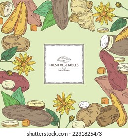 Background with vegetables: batat, tuber of yams, sweet potato, Jerusalem artichoke and potatoes. Vector hand drawn illustration.