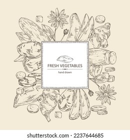 Antecedentes con verduras: batat, tubérculo de ñame, batata, alcachofa de Jerusalén y papas. Ilustración dibujada a mano por vectores.