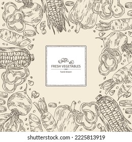 Background with vegetables: beetroot, carrot, corn and pepper. Vector hand drawn illustration