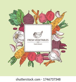 Background with vegetables: beetroot, carrot, garlic and radish. Vector hand drawn illustration