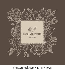 Background with vegetables: beetroot, carrot, garlic and radish. Vector hand drawn illustration