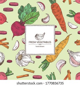 Background with vegetables: beetroot, carrot, garlic and radish. Vector hand drawn illustration
