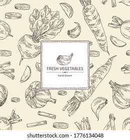 Background with vegetables: beetroot, carrot, garlic and radish. Vector hand drawn illustration