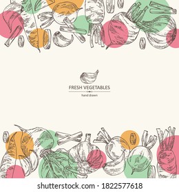 Antecedentes con verduras: remolacha, zanahoria, ajo y rábano. Ilustración dibujada a mano por el vector