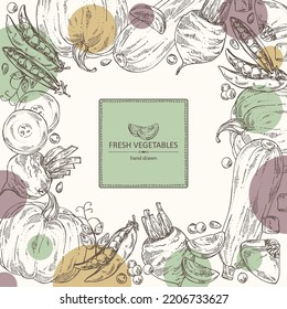Background with vegetables: beetroot, peas, pumpkin and zucchini. Vector hand drawn illustration