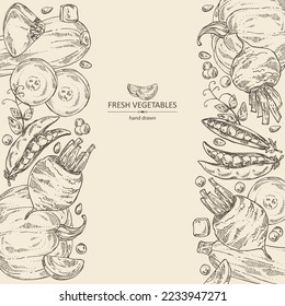 Background with vegetables: beetroot, peas, pumpkin and zucchini. Vector hand drawn illustration