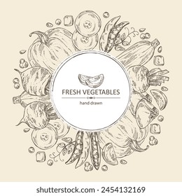 Background with vegetables: beetroot, peas, pumpkin and zucchini. Vector hand drawn illustration