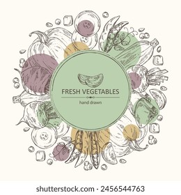 Background with vegetables: beetroot, peas, pumpkin and zucchini. Vector hand drawn illustration