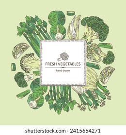 Background with vegetables: broccoli, fennel, celery, apium graveolens, brussels sprouts. Vector hand drawn illustration.