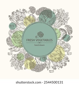 Fondo con verduras: brócoli, hinojo, apio, graveolens de apio, coles de Bruselas. Vector dibujado a mano ilustración.