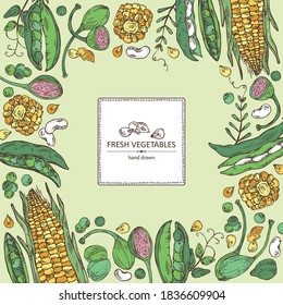 Background with vegetables: corn, peas pod, beans pod, caper. Vector hand drawn illustration.