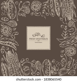 Background with vegetables: corn, peas pod, beans pod, caper. Vector hand drawn illustration.