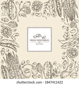 Antecedentes con verduras: maíz, vaina de guisantes, vaina de alubias, gorro. Ilustración dibujada a mano por vectores.