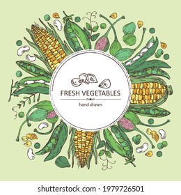 Antecedentes con verduras: maíz, vaina de guisantes, vaina de alubias, gorro. Ilustración dibujada a mano por vectores.