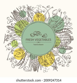 Background with vegetables: corn, peas pod, beans pod, caper. Vector hand drawn illustration.