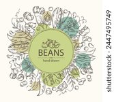 Background with vegetables: peas, beans pod, chickpea beans and lentil. Vector hand drawn illustration.
