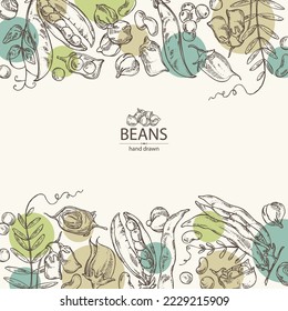 Background with vegetables: peas, beans pod, chickpea beans and lentil. Vector hand drawn illustration.