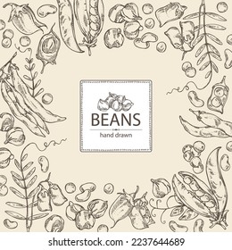 Background with vegetables: peas, beans pod, chickpea beans and lentil. Vector hand drawn illustration.