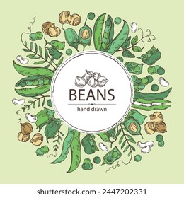 Background with vegetables: peas, beans pod, chickpea beans and lentil. Vector hand drawn illustration.