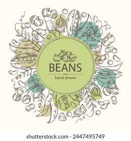 Background with vegetables: peas, beans pod, chickpea beans and lentil. Vector hand drawn illustration.