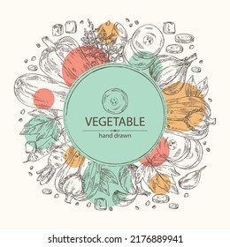 Background with vegetables: pepper, full carrot and slices, zucchini and garlic. Vector hand drawn illustration.
