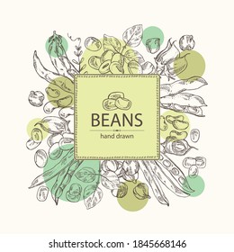 Background with vegetables: soybean plant, beans pod, chickpea beans and mung beans. Vector hand drawn illustration.