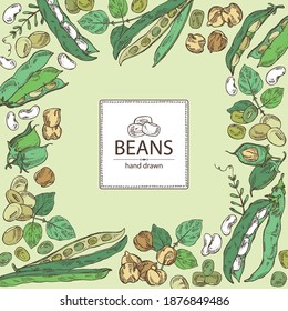 Background with vegetables: soybean plant, beans pod, chickpea beans and mung beans. Vector hand drawn illustration.