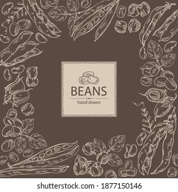 Background with vegetables: soybean plant, beans pod, chickpea beans and mung beans. Vector hand drawn illustration.